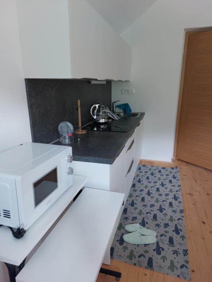 Apartma Sava-Stol Jesenice Eksteriør billede