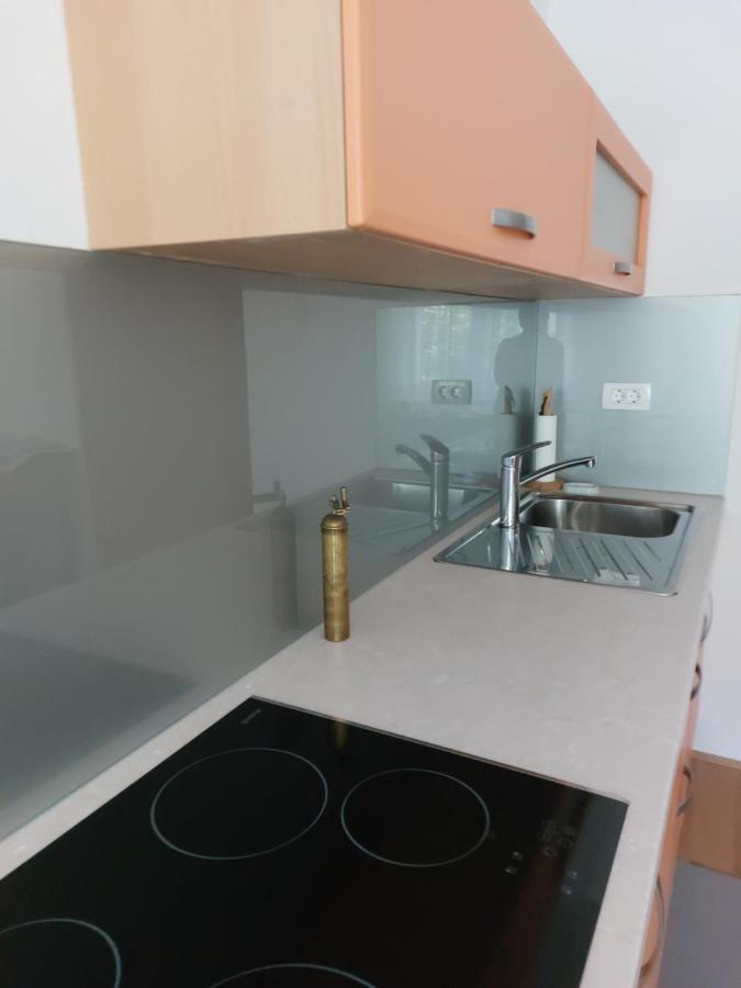 Apartma Sava-Stol Jesenice Eksteriør billede
