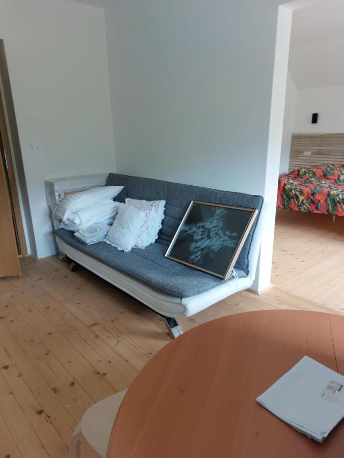 Apartma Sava-Stol Jesenice Eksteriør billede