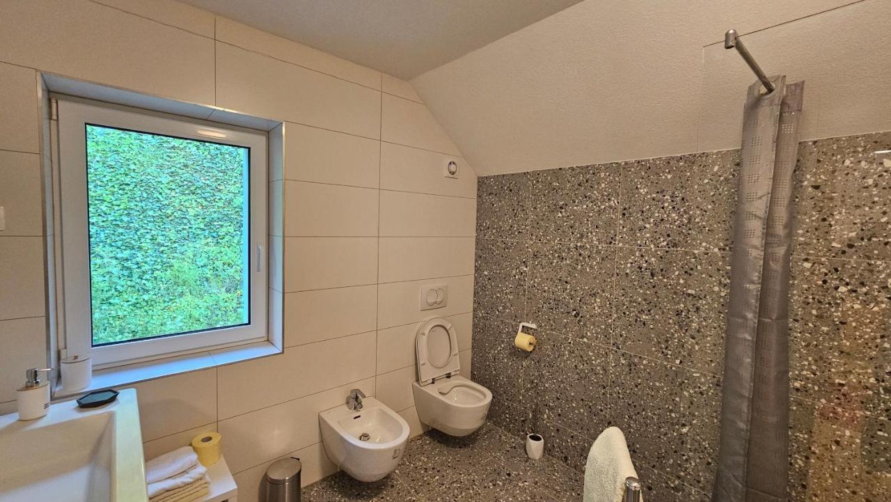 Apartma Sava-Stol Jesenice Eksteriør billede