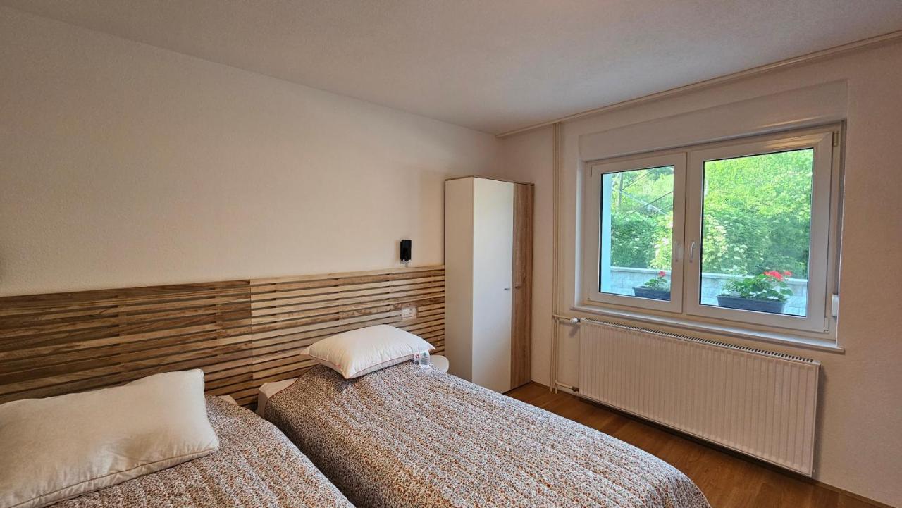 Apartma Sava-Stol Jesenice Eksteriør billede
