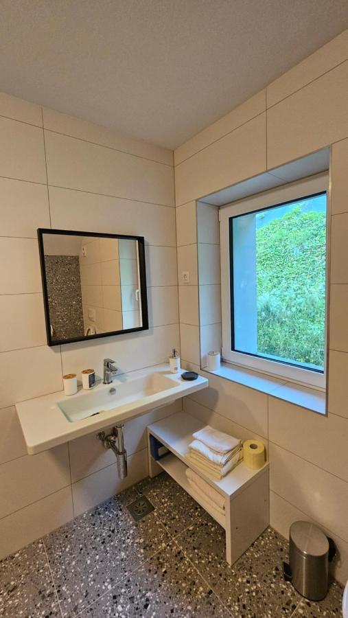 Apartma Sava-Stol Jesenice Eksteriør billede